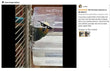 Bird Bath Shower   Bathtub Box  Large Hanging Clear Transparent  Cube   for Parrots  Cage Accessories Bowl