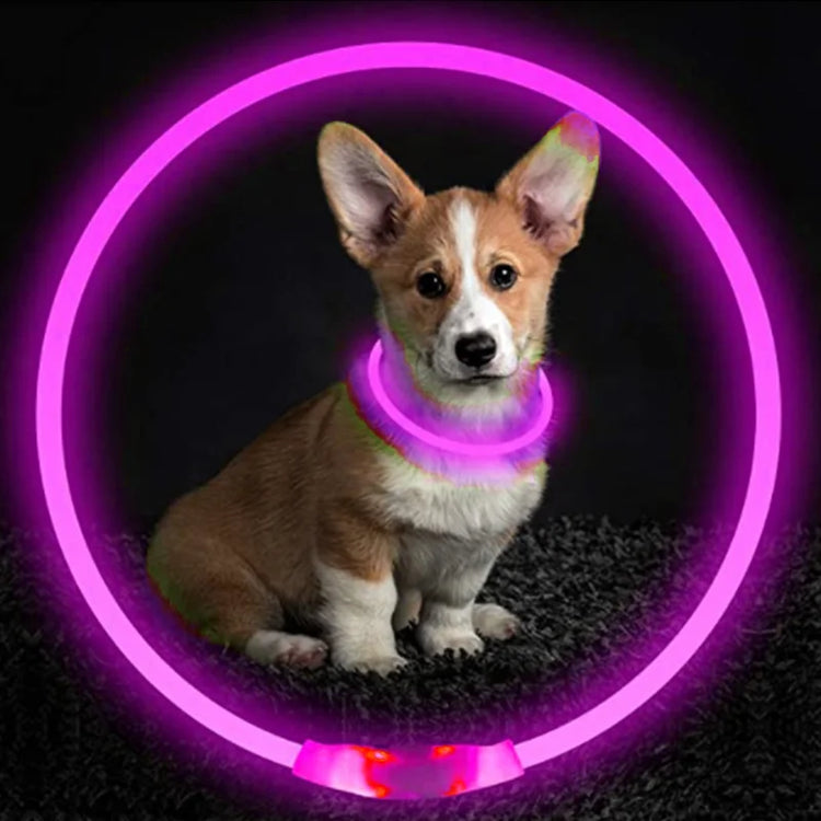 LED Luminous Dog Collar USB Charging Flashing Glowing Safety Anti-Lost Collar for Cats and Dogs          Ask ChatGPT