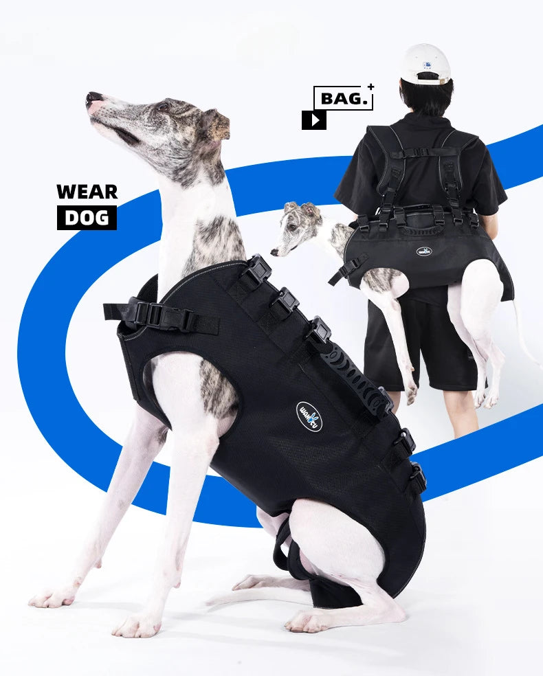 Outdoor Dog Carrier Backpack for Large Breeds – Hiking & Travel Pet Carrier