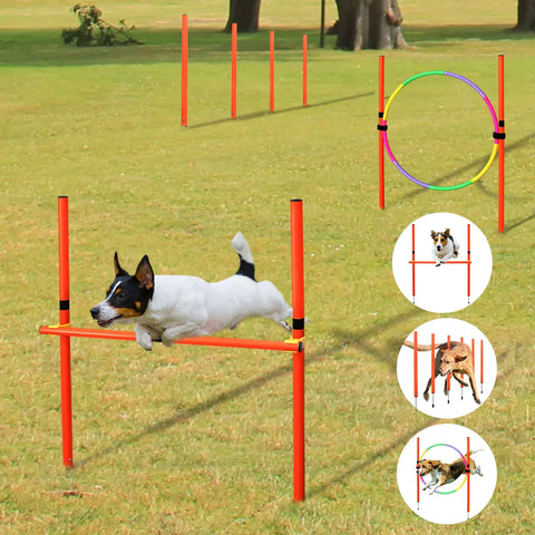 Outdoor Dog Obstacle Training Set – Agility Equipment for All Breeds
