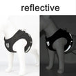 Cat Harness | Lead Leash Set | Adjustable Reflective Escape Proof Pet Mesh Vest Harness | Puppy Dog Collar | Small Dog Cat Pet Supplies