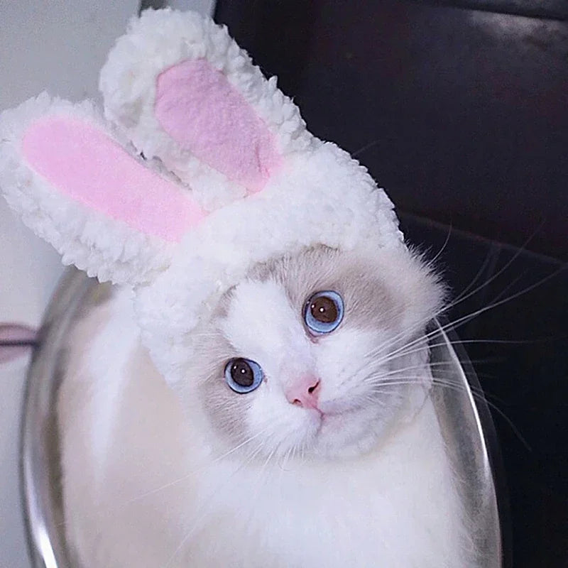 Cute Lion Mane Wig Hat for Cats/Small Dogs | Funny Pet Costume For Halloween, Christmas & Parties