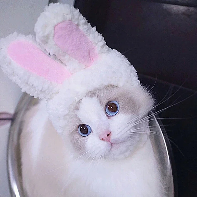 Cute Lion Mane Wig Hat for Cats/Small Dogs | Funny Pet Costume For Halloween, Christmas & Parties