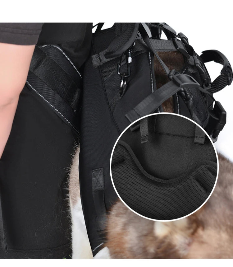 Outdoor Dog Carrier Backpack for Large Breeds – Hiking & Travel Pet Carrier