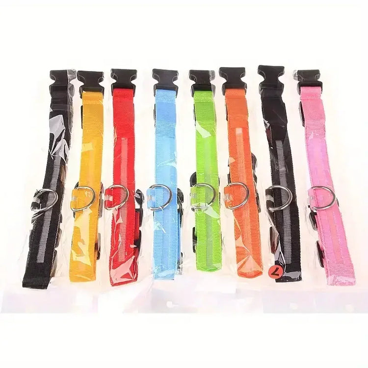 LED Light-Up Dog Collar – High Visibility Safety Collar for Night Walks (Battery Powered)
