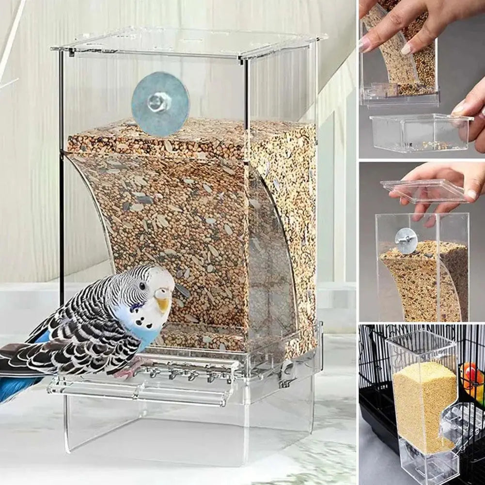Automatic No-Spill Transparent Bird Feeder | Can Be Hung or Placed on Desktop | Ideal for Small & Medium Parakeets