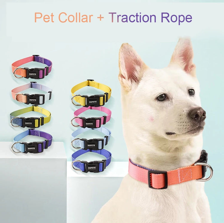 Adjustable Dog Collar & Leash Set – Personalized Nylon Traction Lead for Small to Large Dogs