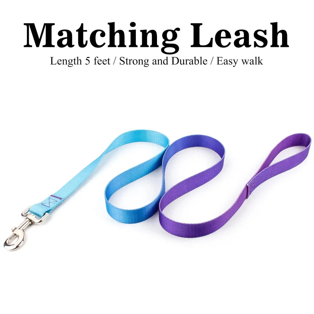Adjustable Dog Collar & Leash Set – Personalized Nylon Traction Lead for Small to Large Dogs