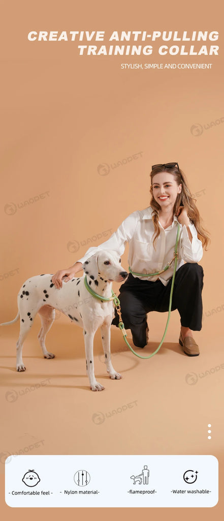 Striped Nylon Rope Dog Collar Slip-On Quick Release Personalized Collar for Small to Large Dogs