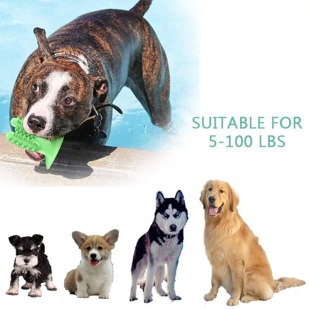 Interactive Dog Toothbrush Toy – Durable Chew Toy for Teeth Cleaning and Training