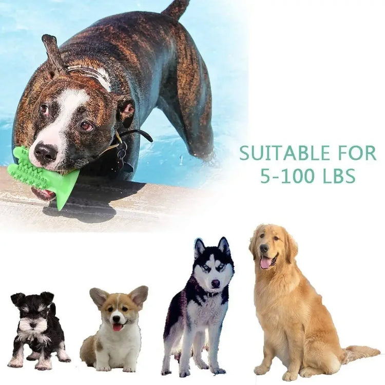 Interactive Dog Toothbrush Toy – Durable Chew Toy for Teeth Cleaning and Training