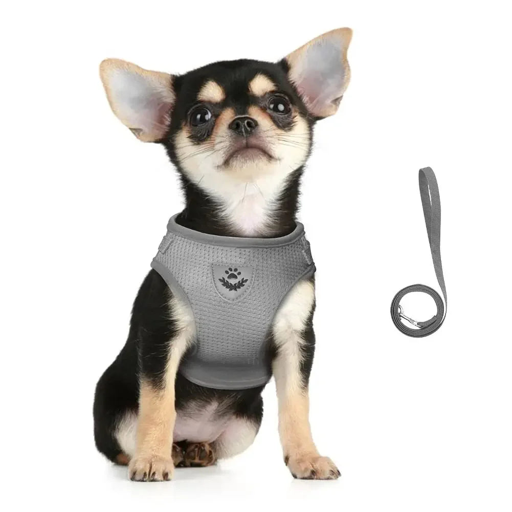 Cat Harness | Lead Leash Set | Adjustable Reflective Escape Proof Pet Mesh Vest Harness | Puppy Dog Collar | Small Dog Cat Pet Supplies
