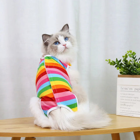 Post-Surgery Sterilization Suit for Female Cats | Anti-Licking Recovery Vest | Weaning Suit