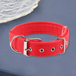 Adjustable Nylon Pet Collar with Traction Ring – Durable and Comfortable Dog Neck Strap