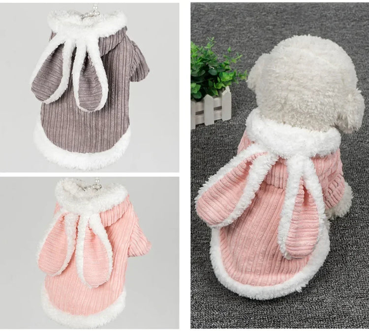 Lovable Winter Clothes for Cats/Small Dogs | Two-Legged Corduroy Cartoon Outfit | Warm Cotton Coat for Hairless Cats/Puppies
