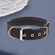 Adjustable Nylon Pet Collar with Traction Ring – Durable and Comfortable Dog Neck Strap