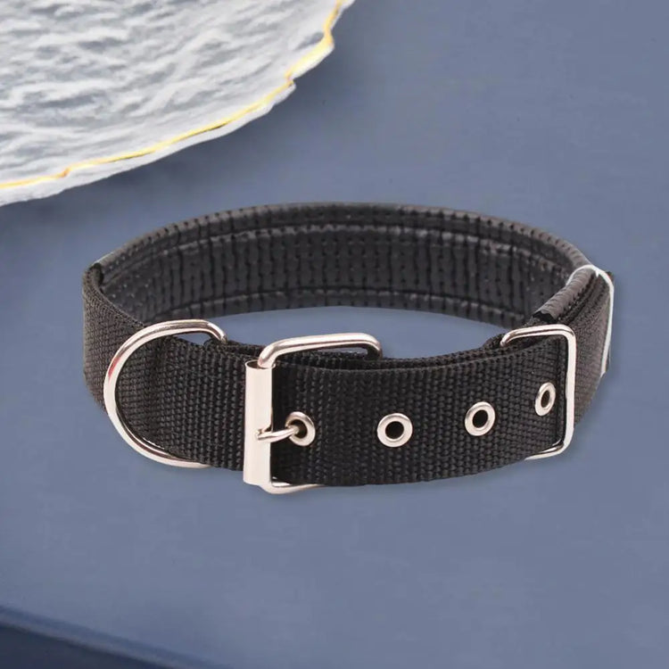 Adjustable Nylon Pet Collar with Traction Ring – Durable and Comfortable Dog Neck Strap