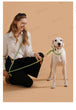 Striped Nylon Rope Dog Collar Slip-On Quick Release Personalized Collar for Small to Large Dogs