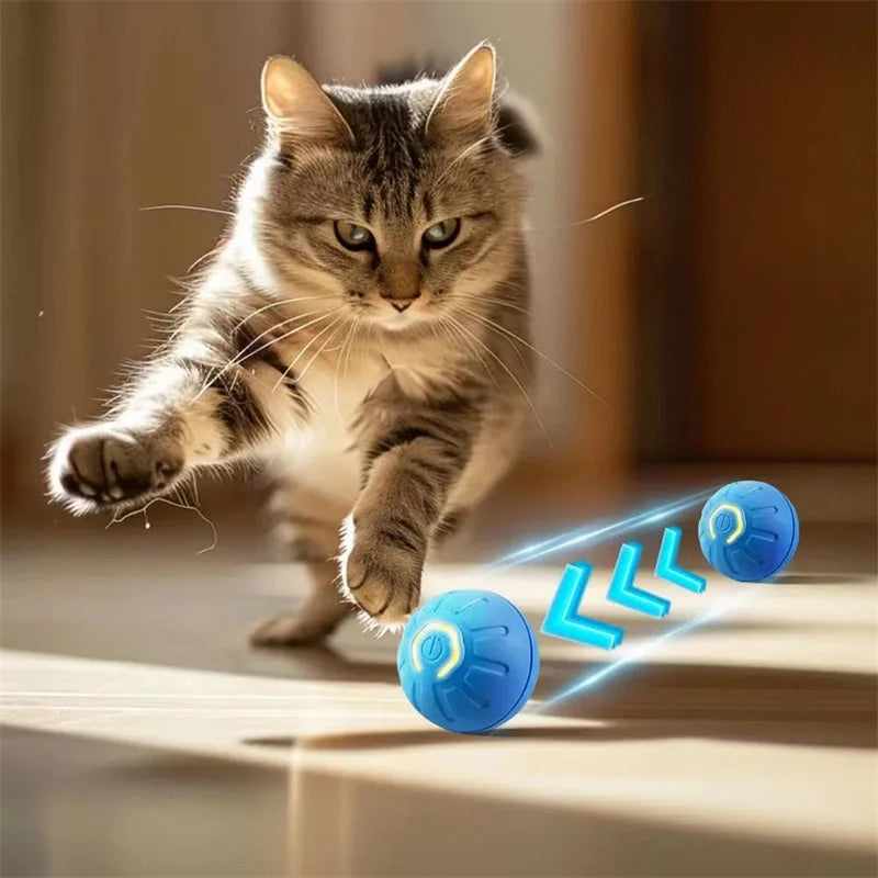 Smart Electronic Dog Toy Ball | USB Automatic Moving & Bouncing Pet Toy | Interactive Puppy Gift | Cat/Dog Products