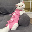 Cat Surgery Recovery Suit | Post-Op Onesie for Cats | E-Collar Alternative for Wound Protection