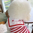 Clothes for Small Dogs Pet Stripe Vest Summer Cotton Dog Clothing Cats Puppy T-Shirt Chihuahua Yorkshire Cute Girls Dog Costume