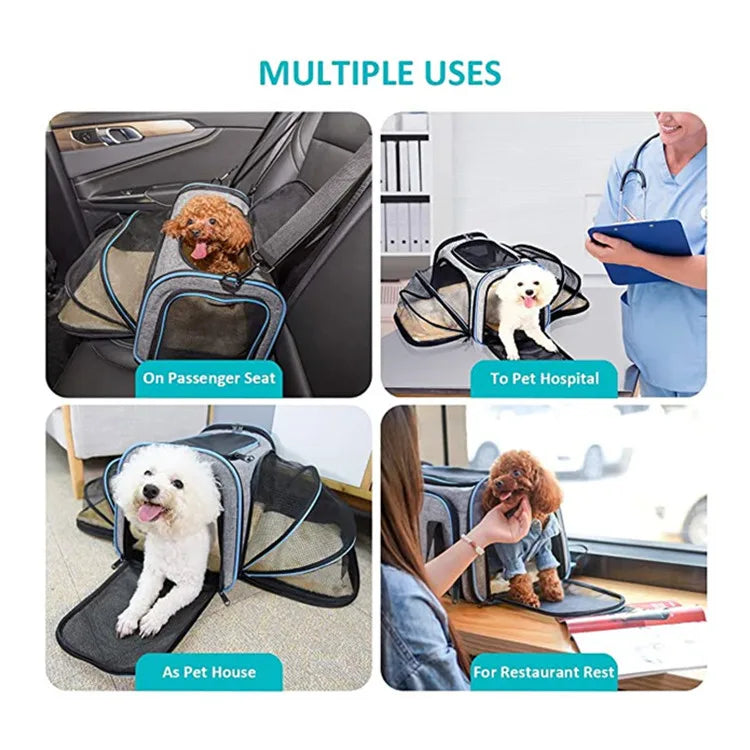 Pet Carrier Backpack Portable Foldable Cat Bag | Medium Pet Travel Carrier