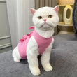 Cat Surgery Recovery Suit | Post-Op Onesie for Cats | E-Collar Alternative for Wound Protection