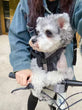 Chest Pet Bag Large Dog Backpack – Convenient and Comfortable Carrier for Medium Breeds
