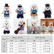Funny Dog & Cat Costume | Pet Sweatshirt Stand-Up Suit | Cosplay Outfit for Party & Festival