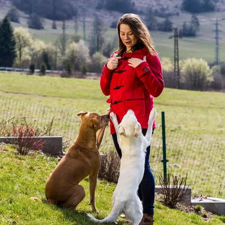 Dog Training Clicker with Wristband for Dogs, Cats & Horses Behavior Training