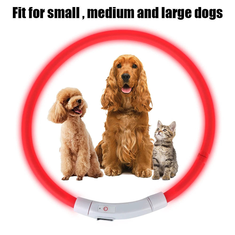 LED Night Safety Dog Collar – Rechargeable, Weatherproof, Adjustable