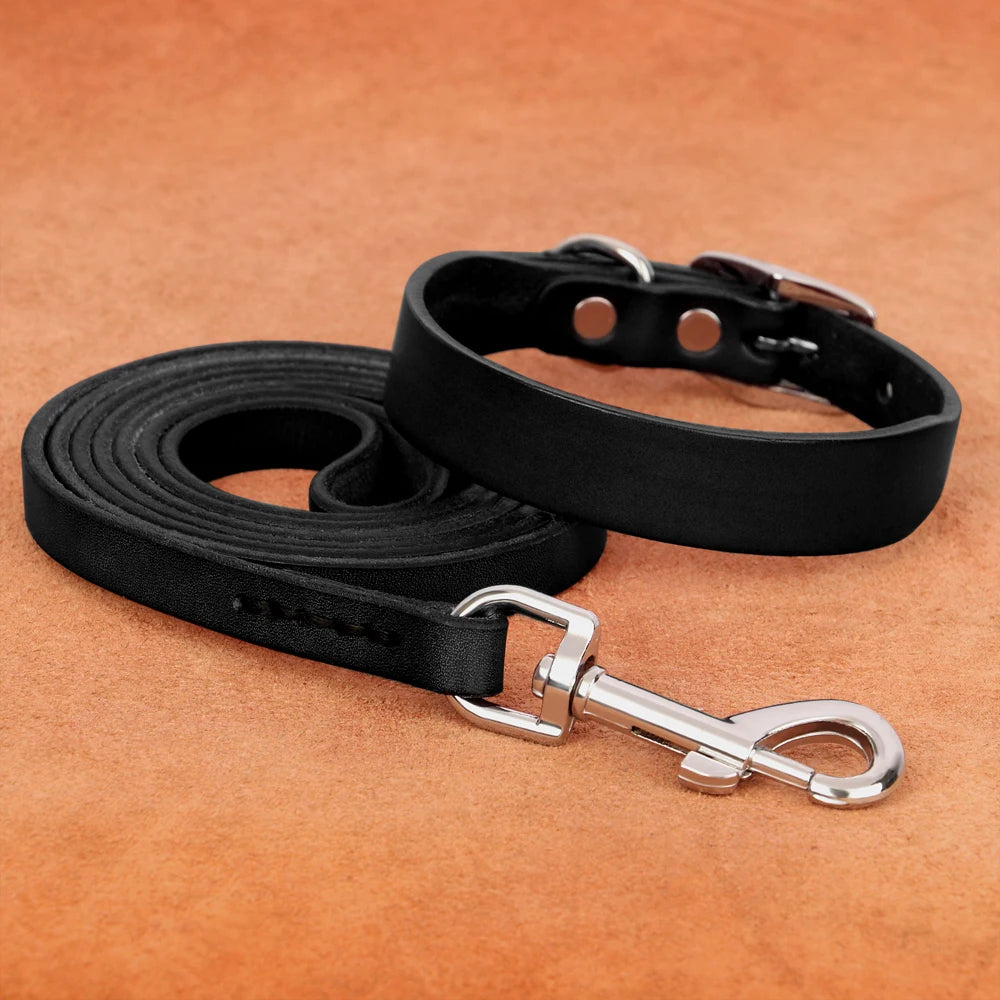 Genuine leather dog collar and leash set – durable and comfortable for small to medium dogs
