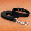 Genuine leather dog collar and leash set – durable and comfortable for small to medium dogs
