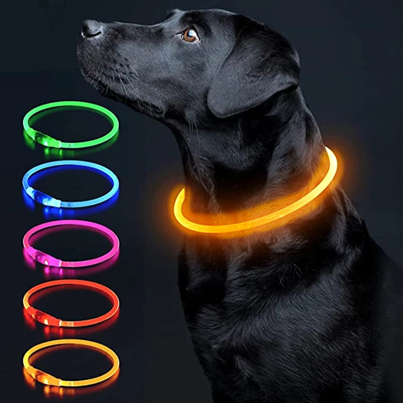 LED Luminous Dog Collar USB Charging Flashing Glowing Safety Anti-Lost Collar for Cats and Dogs          Ask ChatGPT