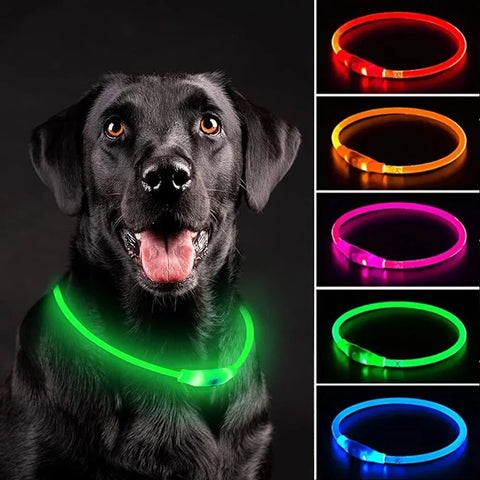 USB Rechargeable LED Luminous Dog Collar – Safety Glowing Night Collar with 3 Light Modes