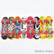 1 PC Parrot Training Skateboard | Bird Skates Perch Toy for Lovebirds, Canaries, Calopsita, Birds Accessories