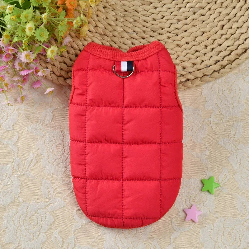 Winter Warm Dog Coat Jacket | Windproof Padded Clothes for Small Dogs | Chihuahua Clothing | Pet Supplies