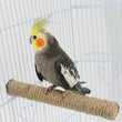 Parrot Pet Standing Stick | Wood Hanging Stand Rack | Toy Sticksstand Branch Perches for Bird Cage | Bar Paw Grinding Clean Toys
