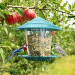 Bird Feeder | Automatic Foot Feeding Tool | Outdoor Bird Feeder Hanging Nut Feeding Multiple Hole Dispenser Holder Food Container