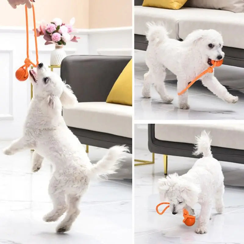 Dog Ball Toys – Bouncy Rubber Ball with Rope for Interactive Play