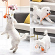 Dog Ball Toys – Bouncy Rubber Ball with Rope for Interactive Play