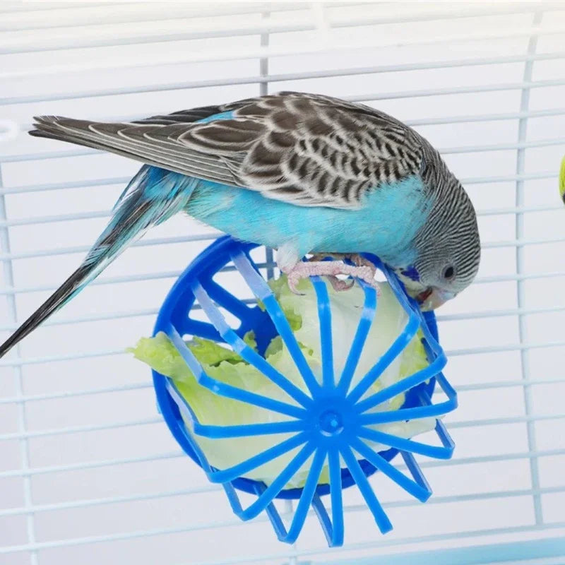 Bird Cage Feeder – Hanging Fruit & Vegetable Basket for Parrots & Small Birds | Clip-On Plastic Cage Rack for Feeding