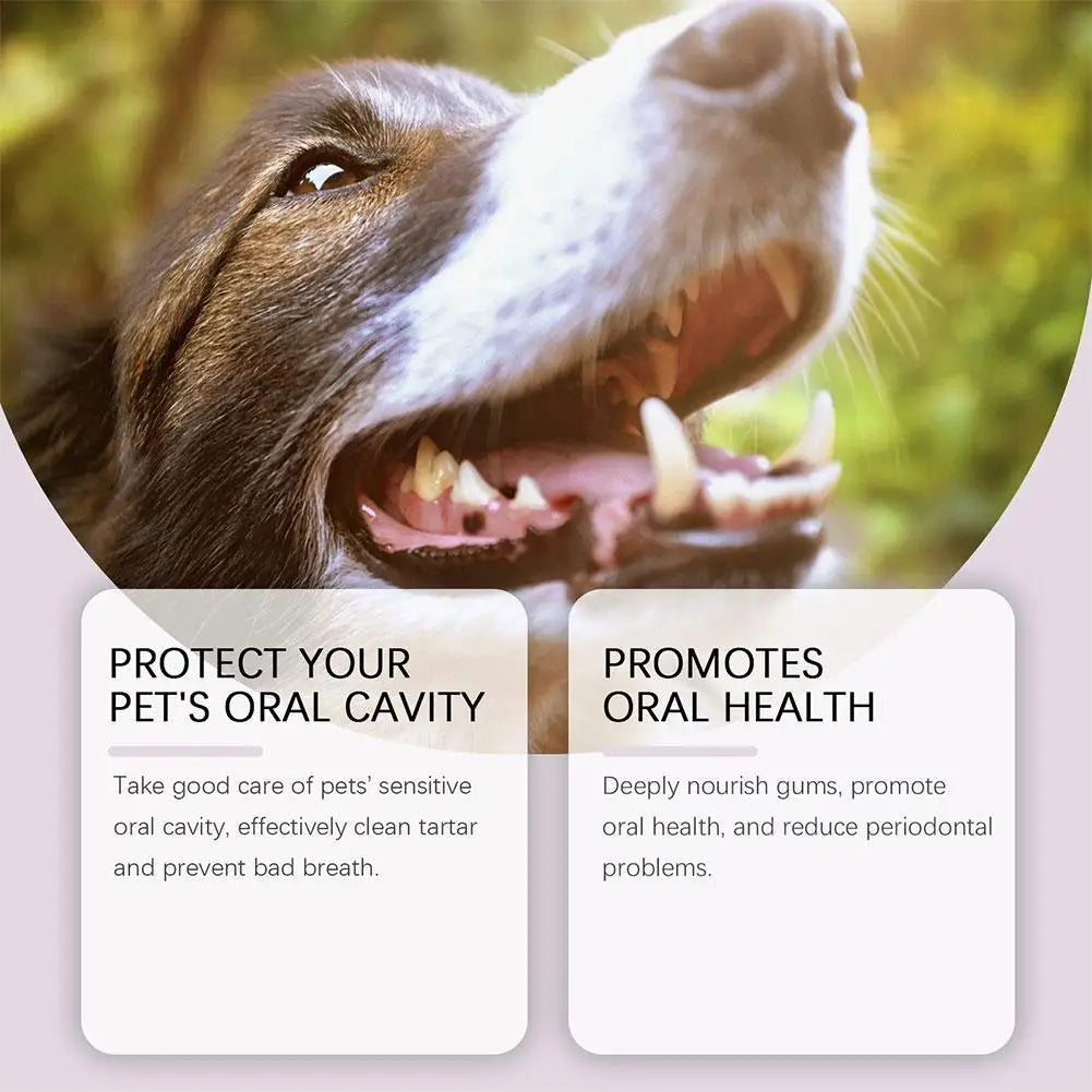 Pet Teeth Cleaning Gel Pen for Dogs and Cats – Oral Care, Breath Freshener, Tartar & Stain Remover