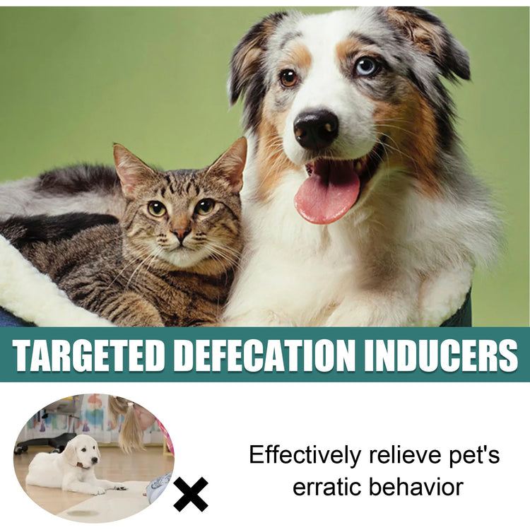 Pet Toilet Training Spray  30ml | Dog /Cat Potty Trainer | Natural Extract Formula