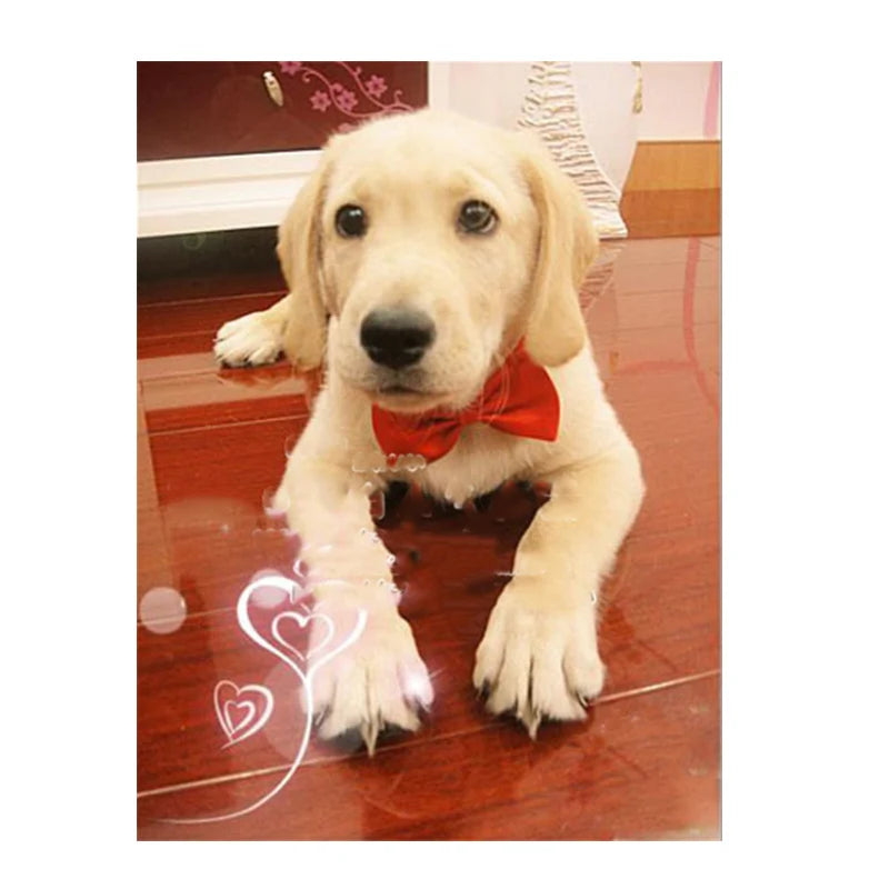 Pet Dog/Cat Necklace Formal Necktie |Adjustable Bow Tie Portable Collar, Suit For Small Medium Dog/Cat