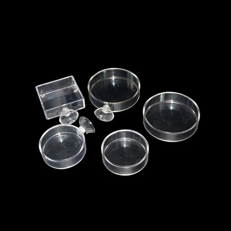 Transparent Acrylic Shrimp Feeder with Suction Cup – Floating & Bottom Feeding Fish Tank Accessory