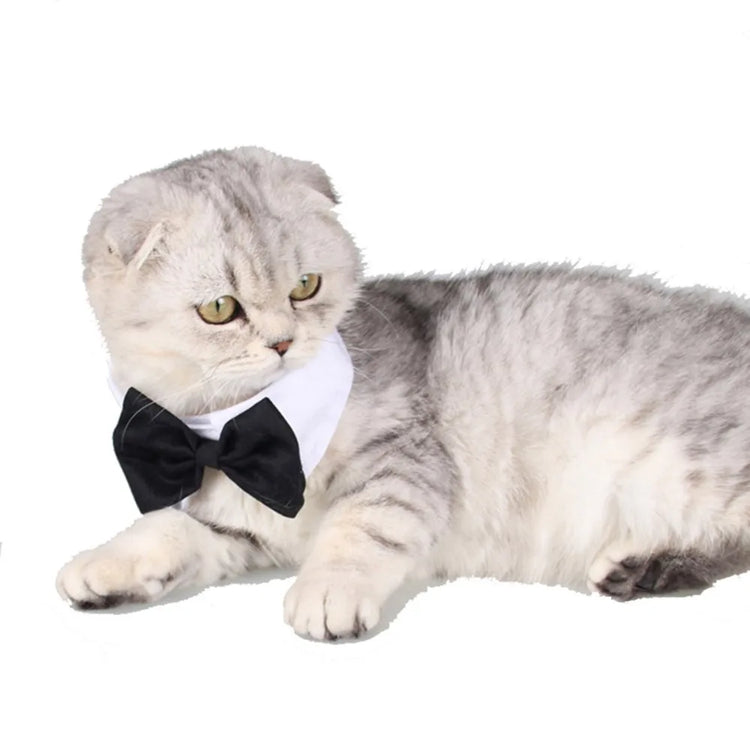 Dog Cat Bow Tie | Pet Costume Necktie Accessories Collar - Small Dogs | Puppy Grooming | Dog Accessories - Bandana