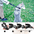 Short Padded Traffic Lead for Dogs – Heavy-Duty Nylon Leash with Quick Release Clip