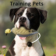 Dog Training Duck Dummy | Waterfowl Retrieval Training Toy for Dogs