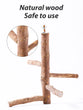 Natural Wood Bird Branch Stand | Perches Pet Parakeet Budgie Hanging Play Toy | Bird Cage Parrot Wooden Desk Holder Perches Platform